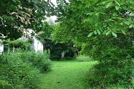 Bettwäsche stelle ich euch zur verfügung, jedoch bitte ich euch, handtücher von zu hause mitzubringen. Barba On Twitter Kleinesgluckzwischendurch Was Ein Kleiner Verwunschener Garten Bewirken Kann Https T Co Uuifejo9mt