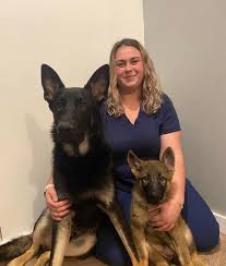 Experienced Veterinarians