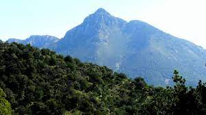 This impressive range is home to mt wrightson, one of the taller peaks in southern arizona. Datei Mount Wrightson Santa Rita Mountains 102561 Jpg Wikipedia