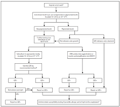 Prevention Of Perinatal Group B Streptococcal Disease