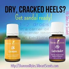 Essential Oils Nature S Medicinal Masterpiece Essential Oils My Essential Oils Essential Oil Beauty