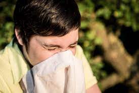 Allergy Season Hay Fever Or Covid And What To Do To Limit Symptoms