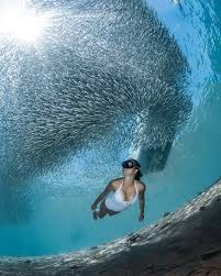 Cath Freedive Yoga Retreat On Instagram The Best Think In Life Are The People We Love The Underwater Photography Mermaid Water Photography Underwater World