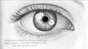 My method is aimed to help even the most complete beginner draw something they once. Art Drawing The Face And Eyes Lessons Blendspace