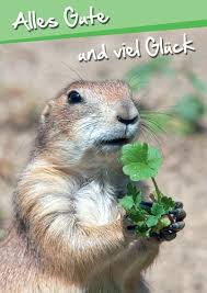 Postkarte A6 Lustig Alles Gute Und Viel Gluck Ceres Webshop