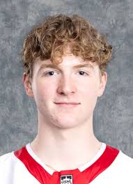 Sean Barnhill Hockey Stats and Profile at hockeydb.com