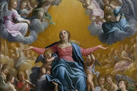 Check spelling or type a new query. The Case For The Assumption Of Mary The Divine Mercy