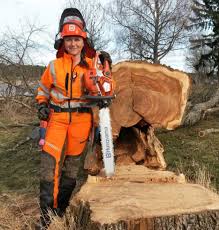 Image result for site:byggahus.se trädfällning