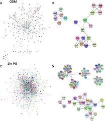 Diabetes in an immediate family member. Plos Medicine Maternal Dysglycaemia Changes In The Infant S Epigenome Modified With A Diet And Physical Activity Intervention In Pregnancy Secondary Analysis Of A Randomised Control Trial