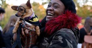 Costumes aren't just for kids. Pets get tricked out this Halloween