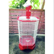 Terima jual beli kamera bekas surabaya, berpengalaman dari 2011 sampai sekarang & semua barang yang kami jual telah melalui quality control hub 081230401855. Jual Beli Sangkar Burung Lovebird Sidoarjo Lovebirds Lover