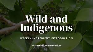 Image result for Canthium inerme