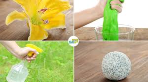 Both compounds are safe for use as insecticide and pesticide. 12 Fantastic Uses For Borax Cleaning Pest Control And More Fab How