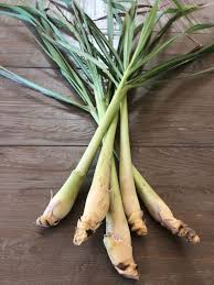 A lemongrass clump can grow up to 6 feet tall; Lemongrass 101 How To Buy Prep And Grow The Aromatic Stalks Viet World Kitchen