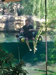 Fort worth zoological park , municipally owned zoo in fort worth , texas , u.s. Fort Worth Zoo On Twitter Come Saturday This Human Will Be Replaced With Hippos Zookeeper Mark Is Polishing Up The Glass In The All New Underwater Hippo Viewing Area Get Closer In The