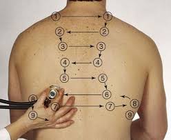 Head To Toe Assessment Script Nursing Assessment Nurse Nursing School