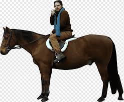 Ada kuda timor, kuda sebu, kuda sandel, kuda rote. Horse Equestrian Mare Bridle Potong Rambut Kuda Hewan Mode Png Pngwing
