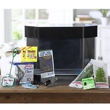 Betta Fish Tank Setup Part 3 Betta Fish Tank Betta Fish Betta Aquarium