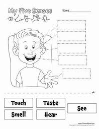 My 5 Senses Worksheets Senses Preschool Five Senses Kindergarten Five Senses Preschool