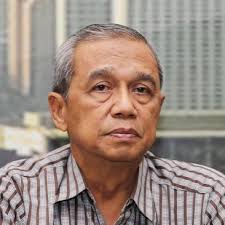 Dewan Penasihat dan Dewan Ahli