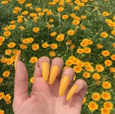 Artsy Indie Aesthetic Acrylic Nails Addicfashion That's why the ladies are searching for new things on regular basis.