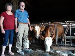 Botulismus ist eine lebensbedrohliche, meist durch verdorbenes fleisch oder nicht fachgerecht eingekochtes gemüse hervorgerufene vergiftung (auch „fleischvergiftung, „wurstvergiftung), die von botulinumtoxin, einem vom bakterium clostridium botulinum. Villingen Schwenningen Rinder Sterben Massenhaft An Botulismus Villingen Schwenningen Umgebung Schwarzwalder Bote