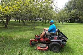 Whether you brave the bitter cold in green bay, wisconsin or enjoy the mild winters in north texas. Services Premier Lawn Care