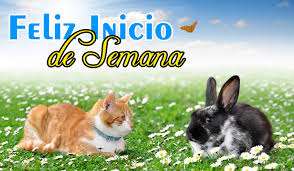 Resultado de imagen de buen inicio de semana grupo