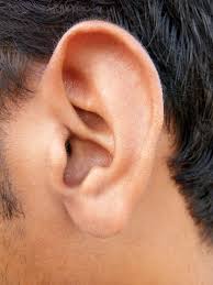 Has your child gotten something stuck in his or her ear that both your kid and you can't seem to get out? Itchy Inner Ear Canal Eczema In Ears Causes Symptoms And Treatment