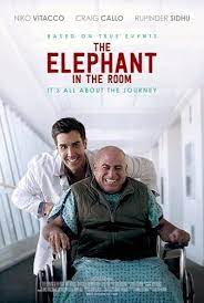 The Elephant In The Room Putlocker Putlockers Putlocker Movies 123movies Film Festival Film Festival