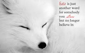 Fox is a social animal, live and hunt together. 110 Arctic Fox Hd Wallpapers Background Images