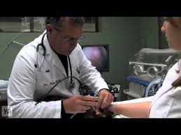 Our team of skilled veterinarians are dedicated to their work, and treat all animals with loving care and compassion. Overland Park Veterinary Clinic Oxford Animal Hospital Youtube