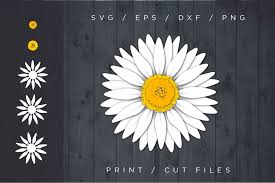 Bomber skull esport mascot logo template free logo design template. Peony Svg Cut File Free Svg Cut Files Create Your Diy Projects Using Your Cricut Explore Silhouette And More The Free Cut Files Include Svg Dxf Eps And Png Files