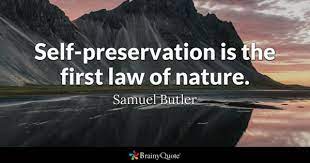 Maybe you would like to learn more about one of these? Self Preservation Quotes Brainyquote