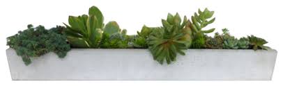 Large living room window sills are excellent for potted plants. Concrete Window Sill Planter Contemporary Indoor Pots And Planters By Concrete Project Houzz