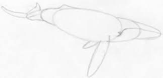 It's super easy art tutorial how to draw animals for kids and adults, only follow me. How To Draw Whale Super Simple Tutorial