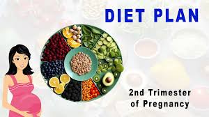 The Significance of Nutrition in The Growth of Infants in their Second Trimester