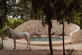 Image result for Galopina