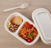 Sugarcane Compostable Lunch Box with Lid