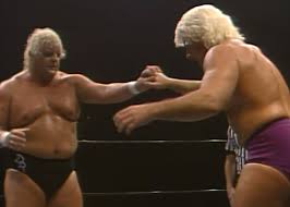 It was satisfying when a game ended and the gamer was pleased, and you could sit back and smile, knowing that you'd done exactly as you were. Retro Pro Wrestling Reviews 1985