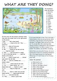 English Grammar In Use Supplementary Exercises With Answers купить What Are They Doing At The Lake Teaching English Grammar English Worksheets For Kids Expressive Language Activities