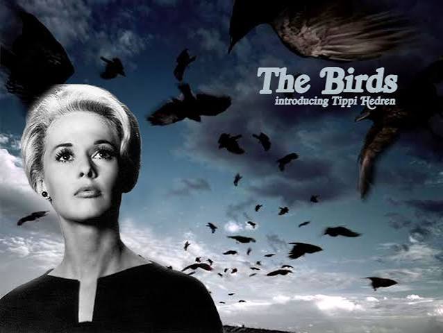 The Bird's: Mise en Scene & Lighting by: Mandy Ashley | The Birds