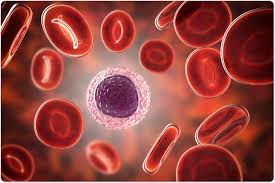 Postmenopausal bleeding is bleeding that occurs after menopause. Does Menopause Affect Blood Count
