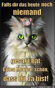 Auch dieses bild hatte symbolkraft: Lustige Guten Morgen Videos Kostenlos Bilder Und Spruche Fur Whatsapp Und Facebook Kostenlos