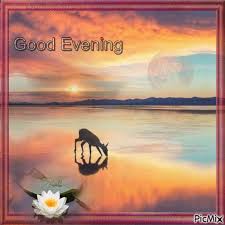 Good Evening - Free animated GIF - PicMix