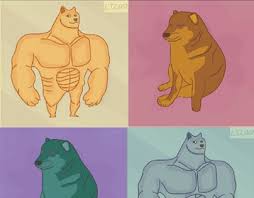 311 images png transparentes de doge. Swole Projects Photos Videos Logos Illustrations And Branding On Behance