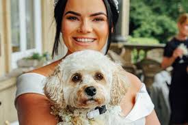 The 10 Best Wedding Venues in Harrogate