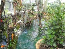 Sie waren zu gast im mantihaus in nürnberg oder suchen weitere infos? Manatihaus Picture Of Tiergarten Nuernberg Nuremberg Tripadvisor