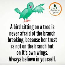 A male taveta weaver sitting on a branch and then takes off. Awesome Quotes A Bird Sitting On A Tree Is Never Afraid Of The Branch Breaking Because Her Trust Is Not On The Branch But On It S Own Wings Always Believe In Yourself