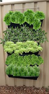 Transform Your Colorbond C Steel Fence In Minutes With This Easy To Install No Drill Solution Build A Wall Garden Hanging Garden Garden Wall Fence Planters